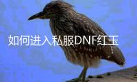如何进入私服DNF红玉的诅咒地下城副本？