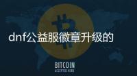 dnf公益服徽章升级的五个技巧