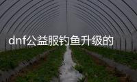 dnf公益服钓鱼升级的最佳方法